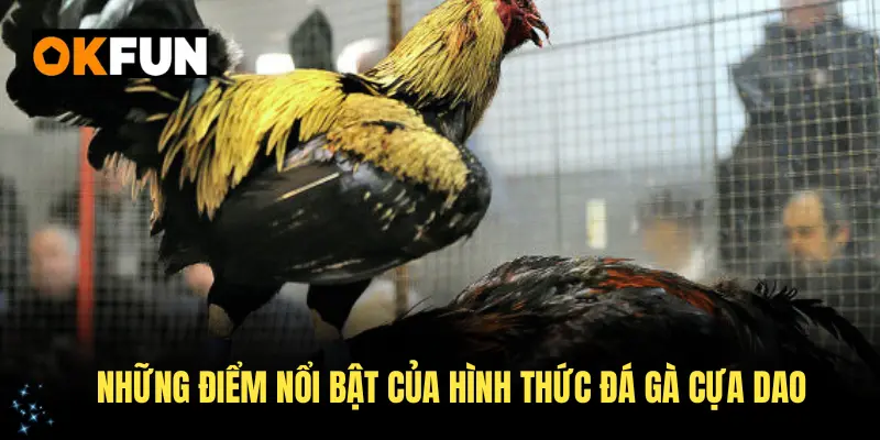 Những điểm nổi bật của hình thức đá gà cựa dao